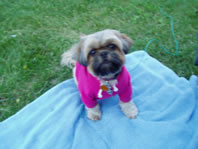 Cappi in her sweatshirt