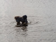 Cappi getting soaked