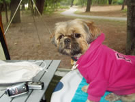 Cappi in her sweatshirt