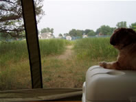 View from the screen porch