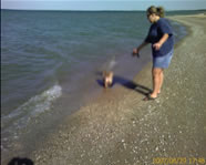 Cappi and Annie on the beach